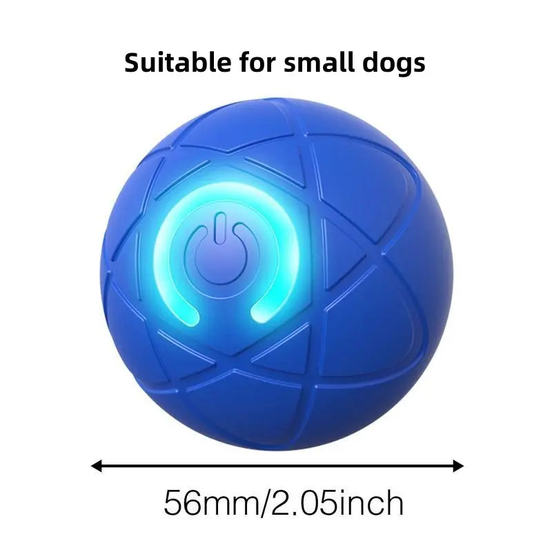 Shaky Ball Toy for Dogs