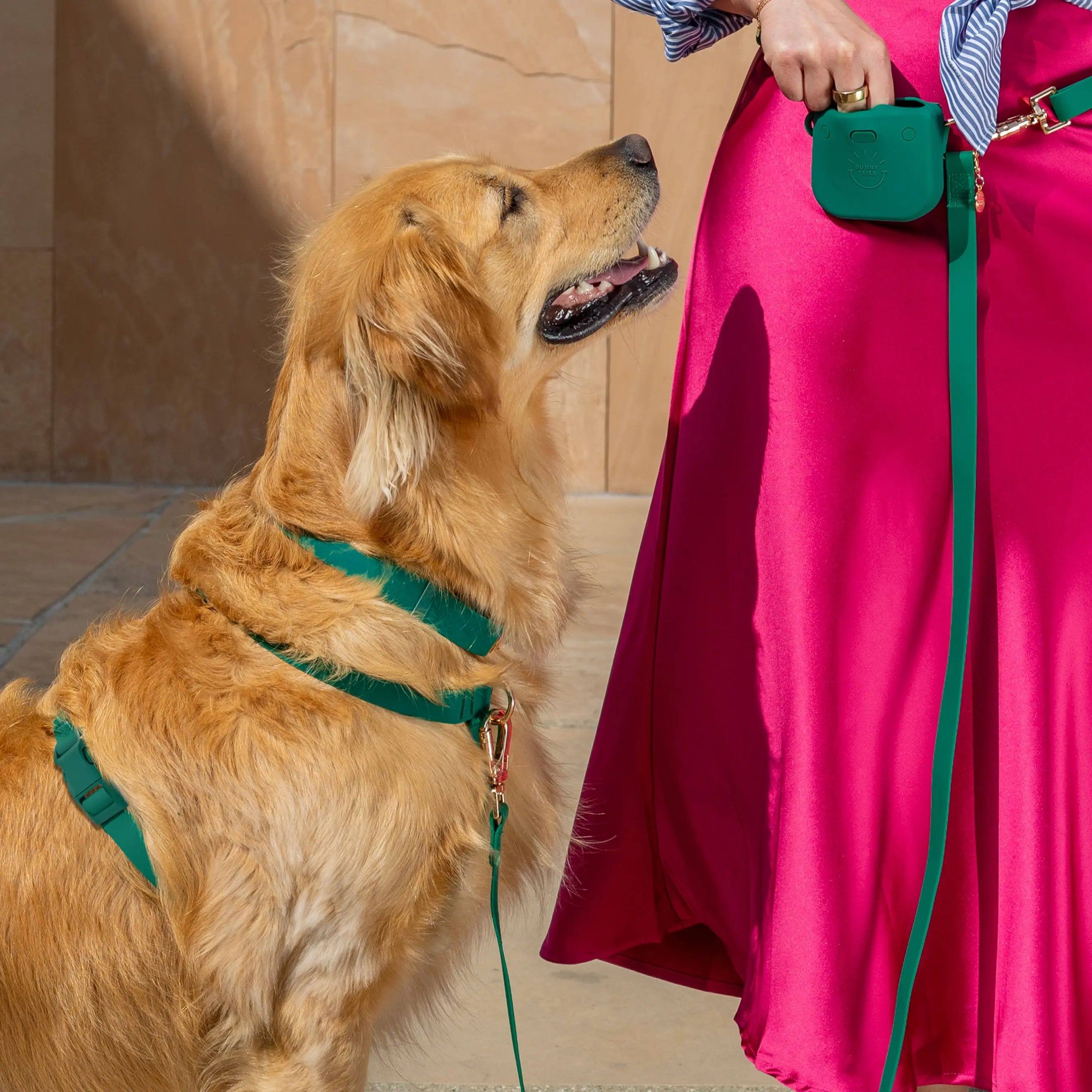 Adjustable Waterproof Dog Collar with Quick Release Buckle