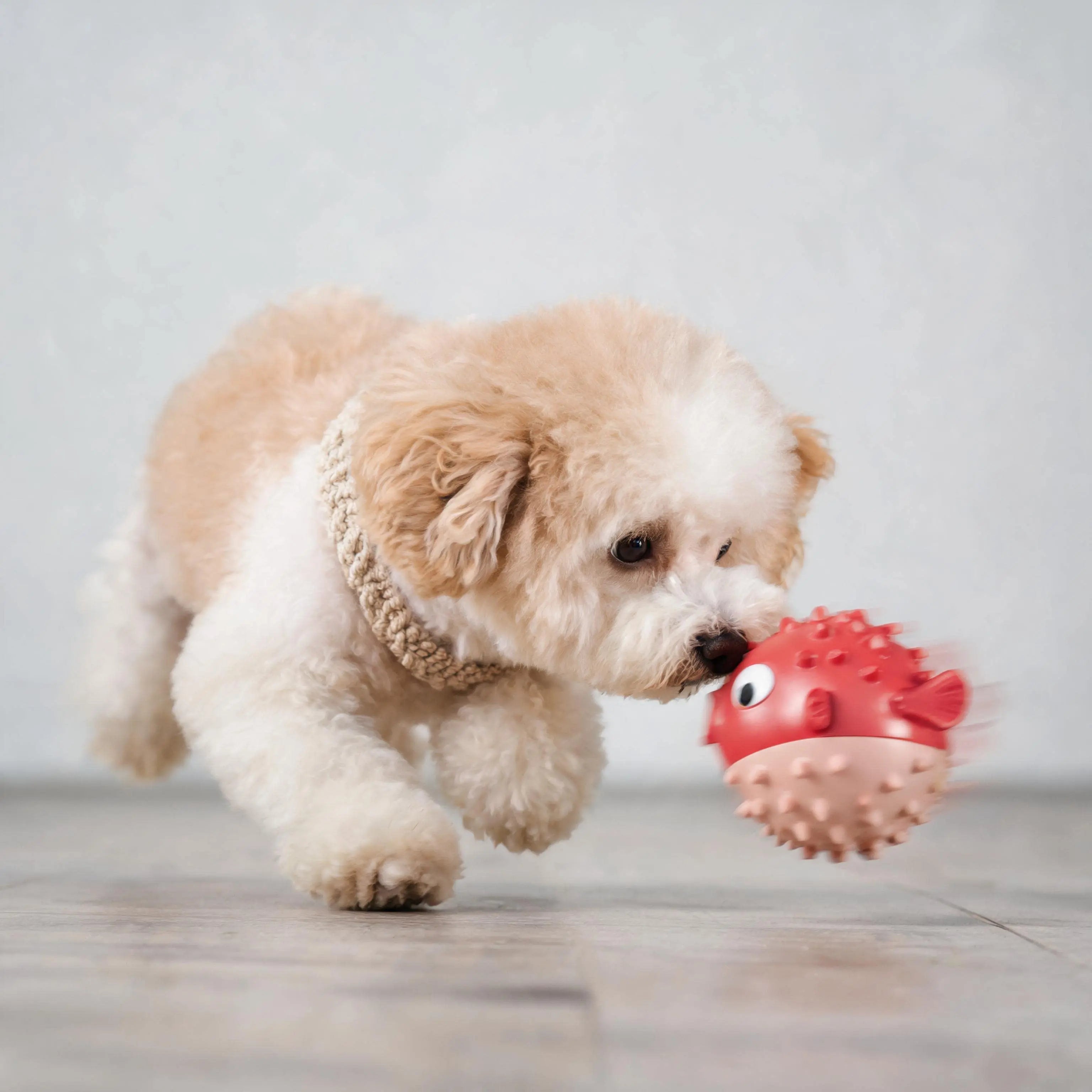 Puffer Fish Squeaky Dog Chew Toy - Interactive Treat Dispenser Puzzle Toy, Durable TPR Teeth Cleaning Ball for Aggressive Chewers, Boredom Relief & Mental Stimulation for Puppies Small Medium Dogs