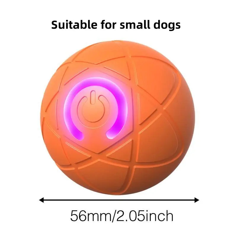 Shaky Ball Toy for Dogs