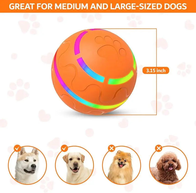 Shaky Ball Toy for Dogs