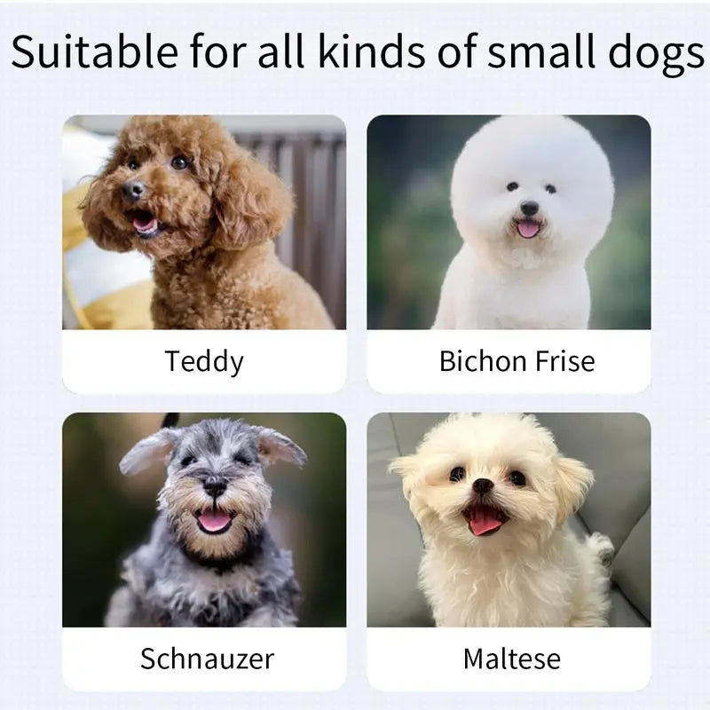 Shaky Ball Toy for Dogs