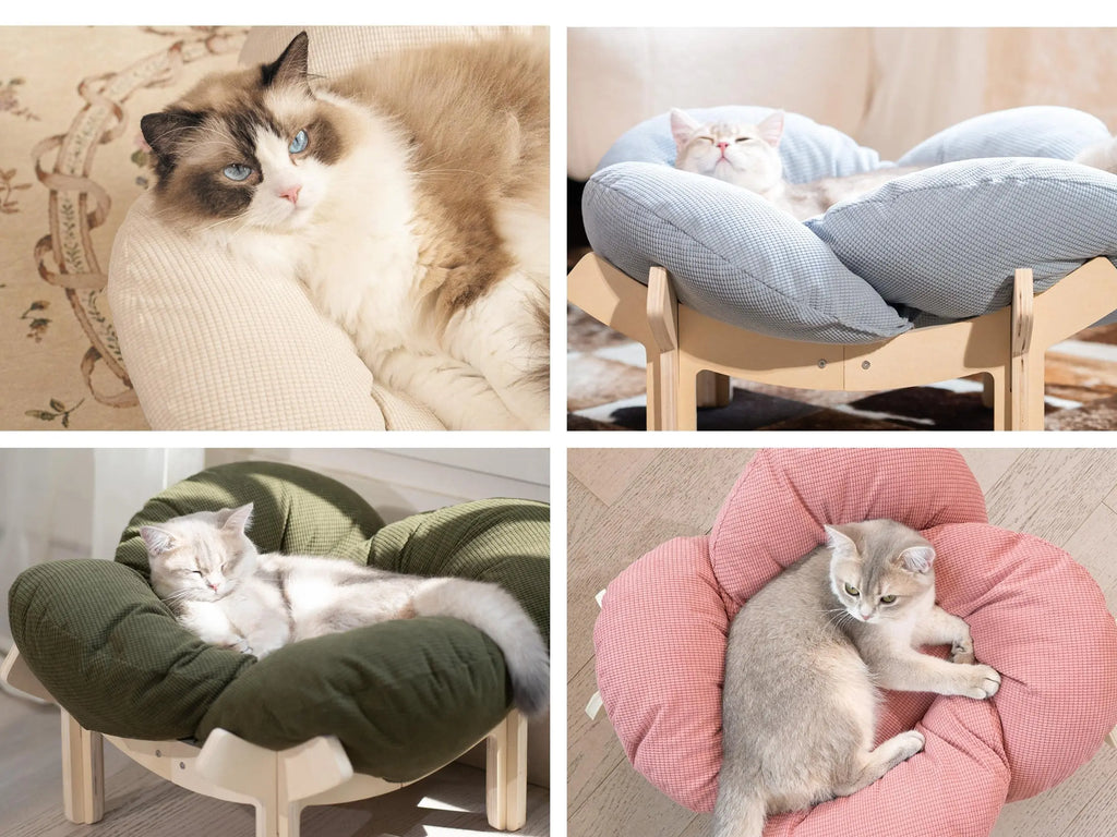 Elevated Flower Cat Bed，Wooden with Cushion， Fluffy Pet Couch Sofa for Indoor Cats and Dogs， Raised Kitty Lounge Chair， Suitable for Puppy, Cat Furniture(Large)