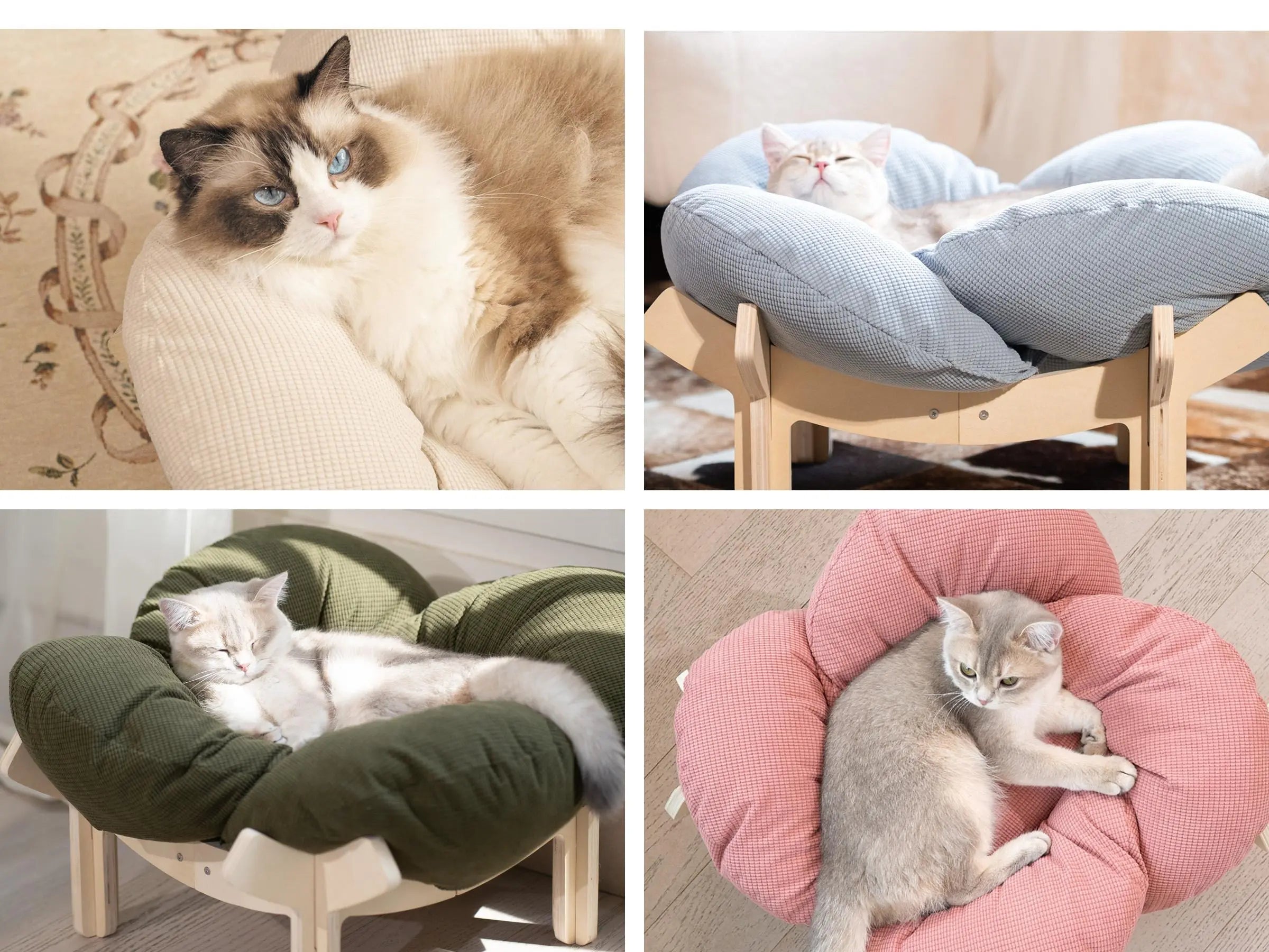 Elevated Flower Cat Bed，Wooden with Cushion， Fluffy Pet Couch Sofa for Indoor Cats and Dogs， Raised Kitty Lounge Chair， Suitable for Puppy, Cat Furniture(Large)
