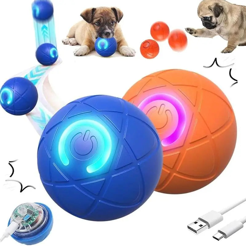 Shaky Ball Toy for Dogs