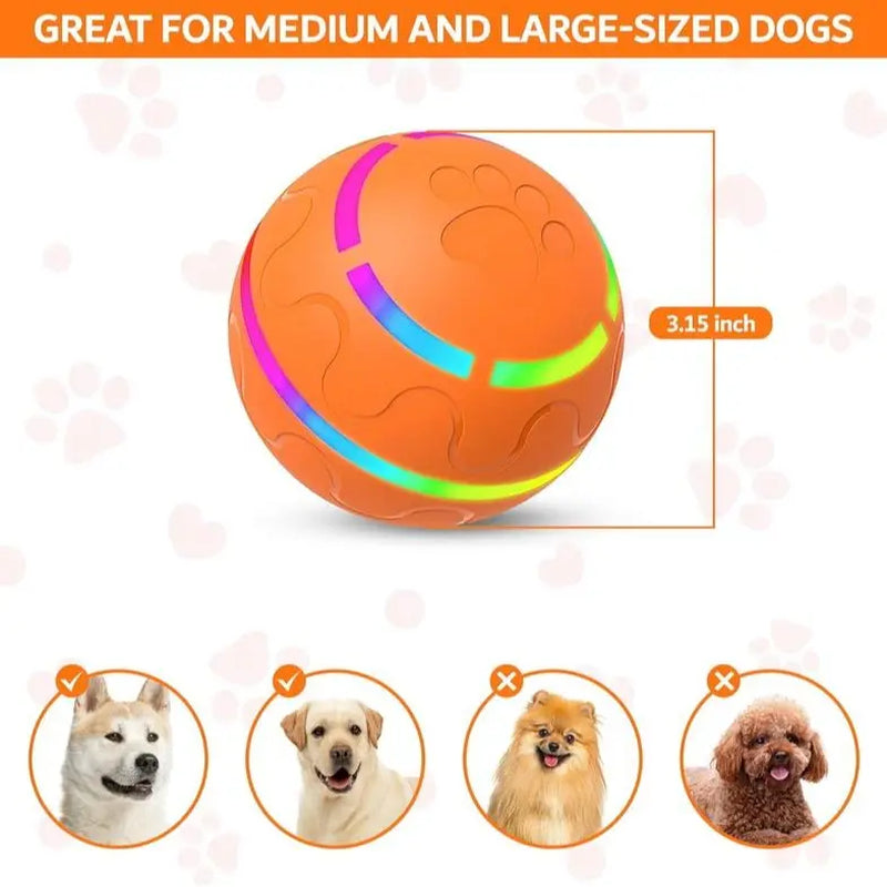 Shaky Ball Toy for Dogs