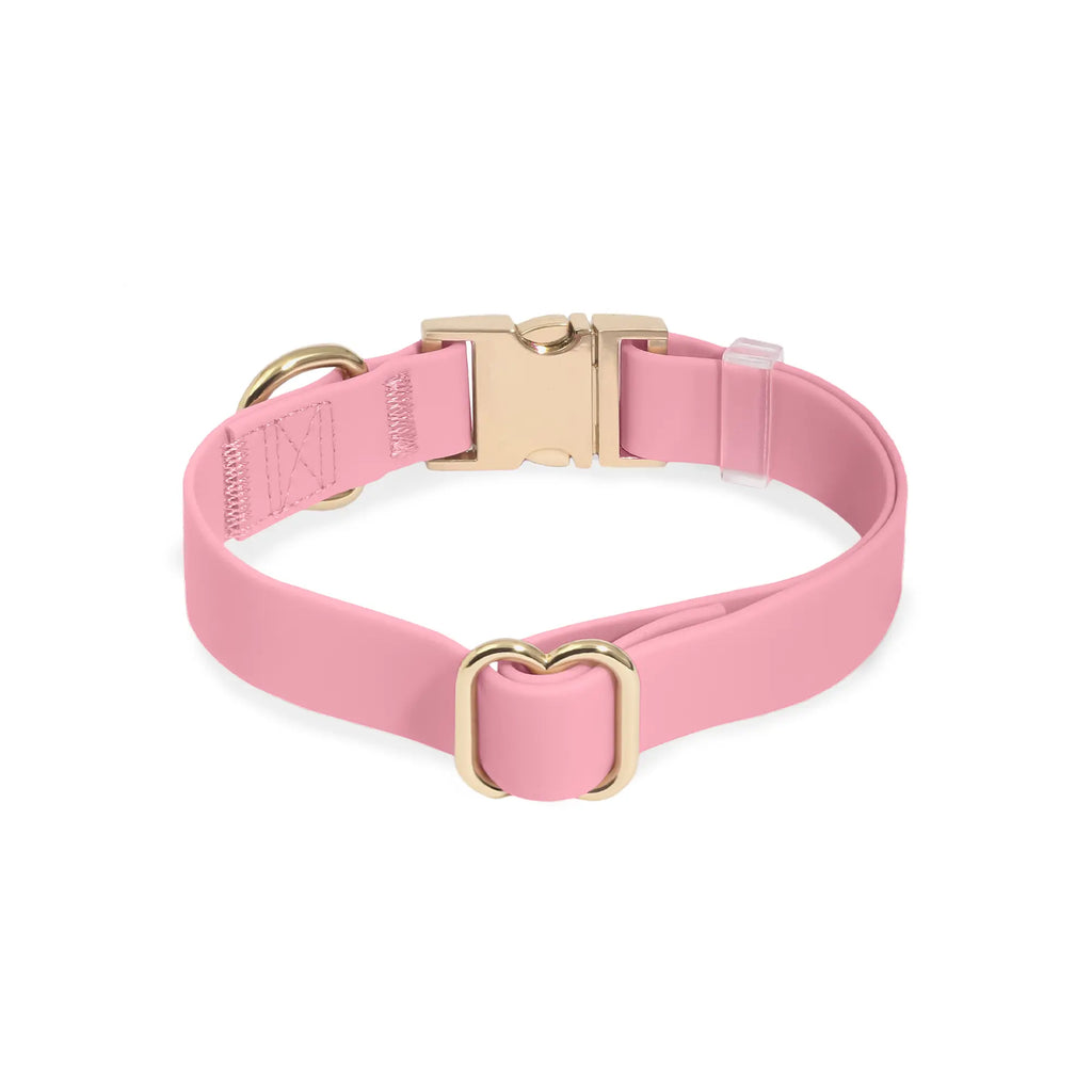 Adjustable Waterproof Dog Collar with Quick Release Buckle