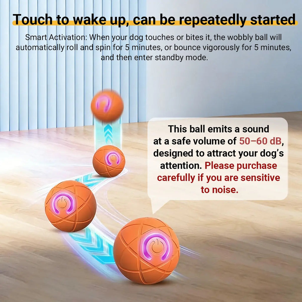 Shaky Ball Toy for Dogs