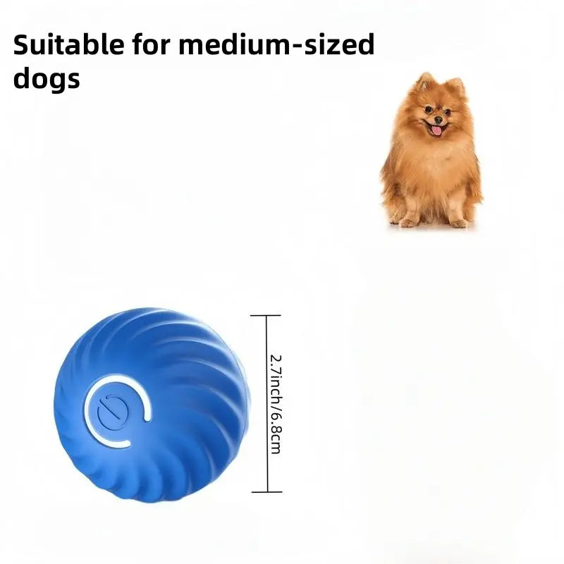 Shaky Ball Toy for Dogs