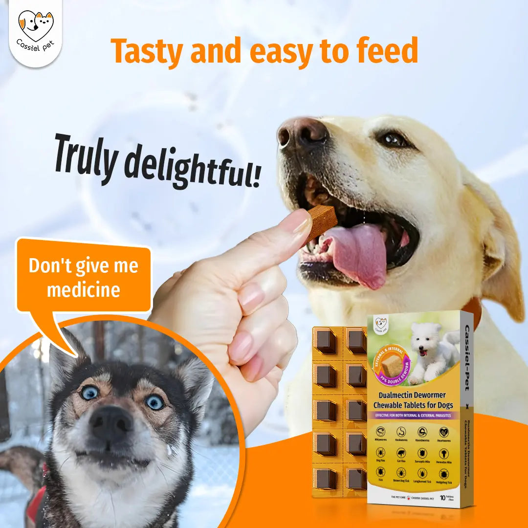 Cassicel-Pet Natural Dog Parasite Support Chews – Easy Feed Herbal Deworming Treats Chicken Flavor Parasite & Wellness Boost Treats Supports Digestive & Skin Health Immune Support