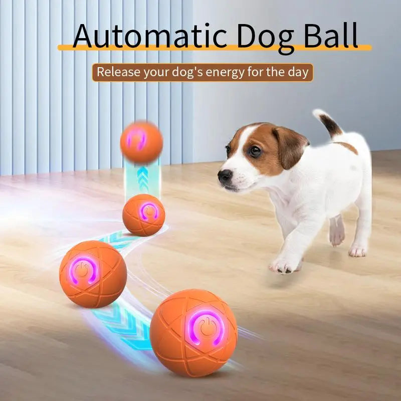 Shaky Ball Toy for Dogs