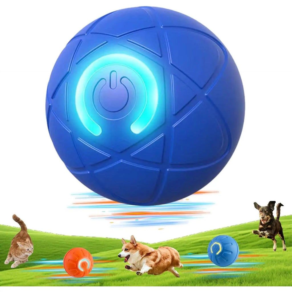 Shaky Ball Toy for Dogs
